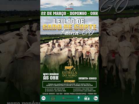 LEILÃO GADO DE CORTE ESTRELA DO AGRO LEILÕES  FAINA-GO 22/03/2026 | Leilão ao Vivo - Leilão de Gado