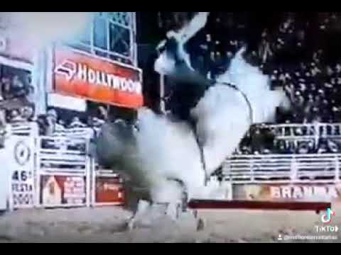 FABRÍCIO ALVES X XERIFE - RODEIO DE BARRETOS 2001