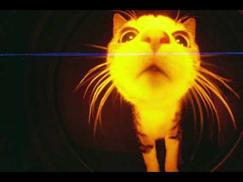 YOGURT-pooh - ビジネスサーファ