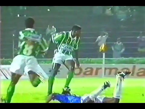 Copa    Libertadores  1994     Palmeiras   vs    Cruzeiro