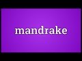Mandrake Meaning