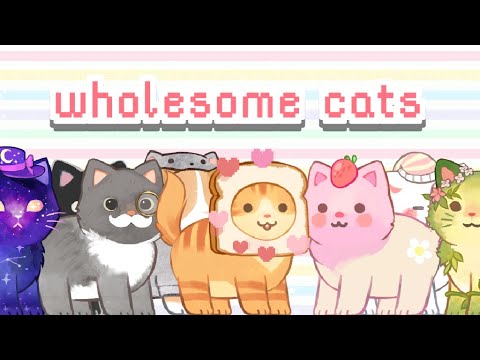 Wholesome Cats Video