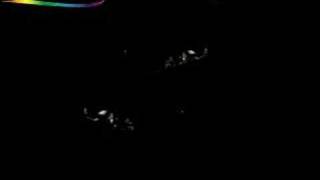 Patti SMITH live - 1959