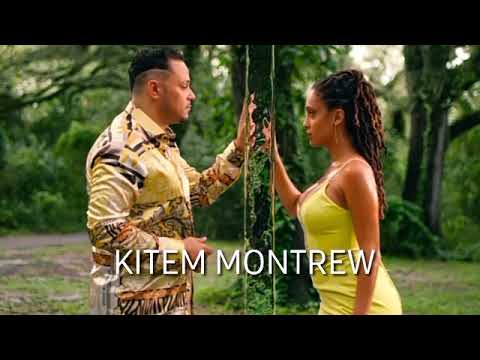 T-VICE x PHYLLISIA ROSS - "Kite'm Montre'w" official lyrics!