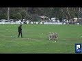 Mick Hudson and Echo Park Mel Final 2022 National
