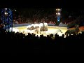 Big Apple Circus 2019 In DC Horse Performance