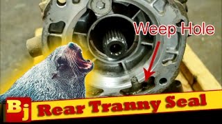 Replace a Leaking Rear Transmission Seal