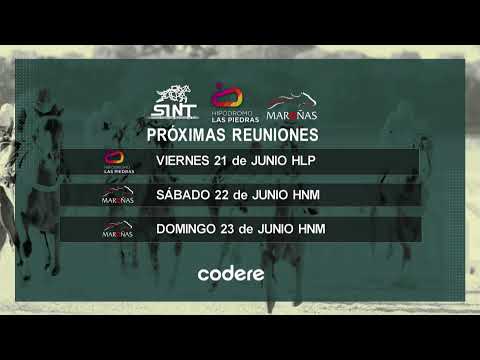 CARRERAS SINT PAYSANDU 20/6/24 | EN VIVO - URUGUAY