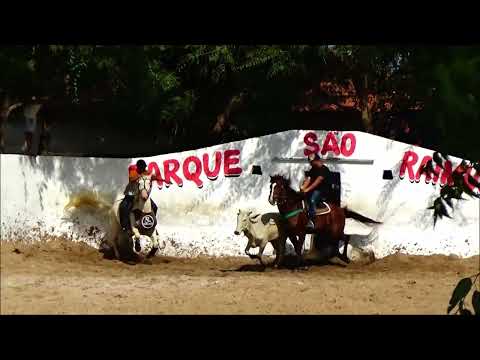 Highlights from the 16th Vaquejada at Parque São Raimundo Pio XII