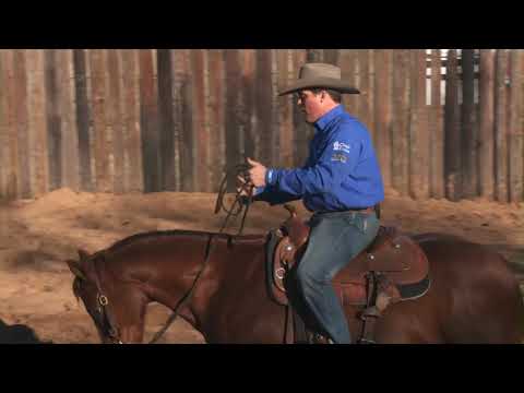 Casey Deary Proper Body Position