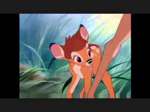 The Many Adventures Of Robin Hood The Fox Part 19 A Hero Party/Bambi Gives His House to Zazu