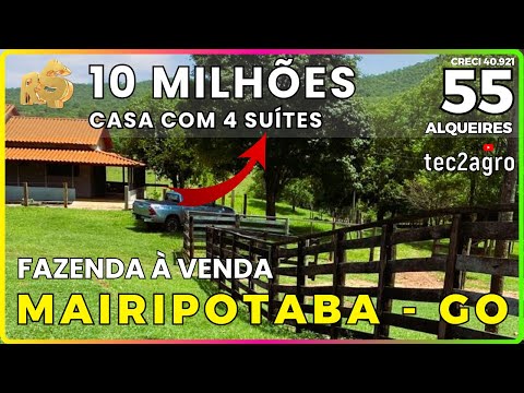 🌱 55 ALQ. MAIRIPOTABA - FAZENDA À VENDA EM GOIÁS [🌱DUPLA APTIDÃO] #agro #fazenda #tec2agro #goiás