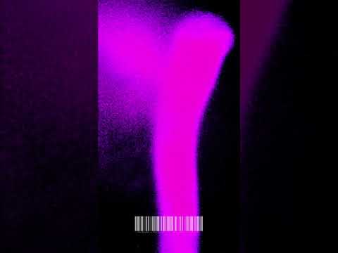 Fraanklyn X Føle | Shades