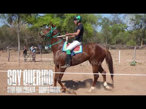 SOY QUERIDO VS CARIÑITO