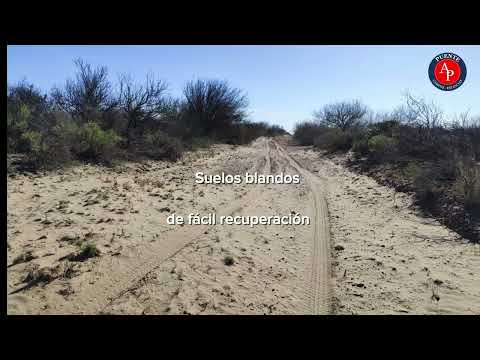 6.000 ha. en Chacharramendi - La Pampa | Campo ganadero de monte | Cría - Recría | Sobre Ruta 