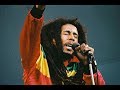 BOB MARLEY - Punky Reggae Party (Lyrics) Own VIDEO