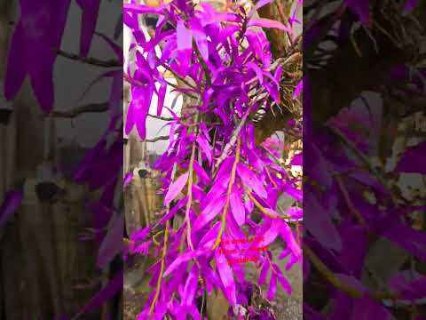 tudo fica mais bonito com cores 💞