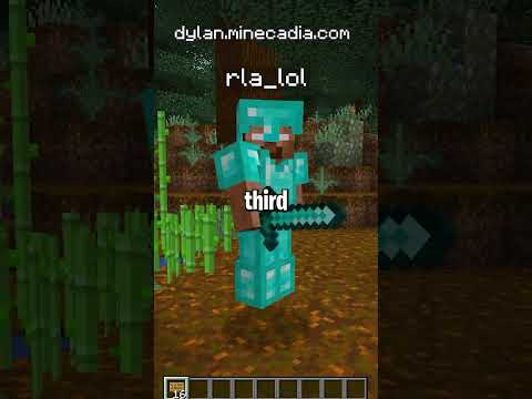 I Helped a New Player On My Minecraft Server