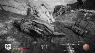 【BF1】ネイチャー系コンクエ【PS4】