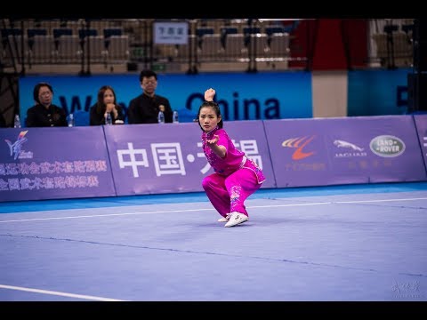 Women's Changquan 女子长拳 第20名 河南队 王富荣 9.29分 he nan wang fu rong 2017年全国武术套路锦标赛