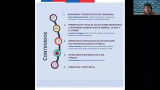 Webinar 16 de noviembre Consulta Pública Plan de Acción Defensores ALAC