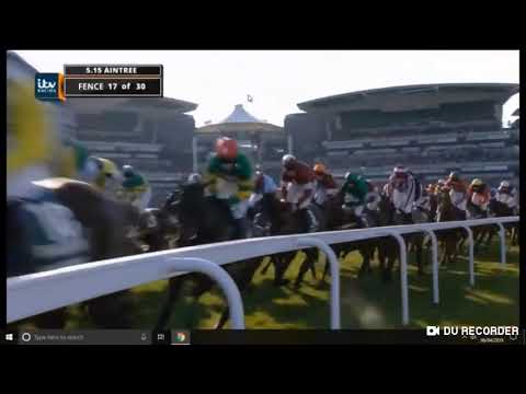 2019 Randox Health Grand National - Tiger roll