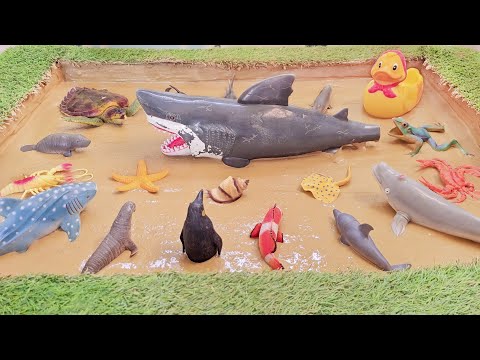 Splish-Splash Adventure: Discovering Muddy Sea Animals and Ocean Friends in Mud! 🐬🦆