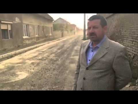 Cum arată strada Constituţiei din Aradul Nou