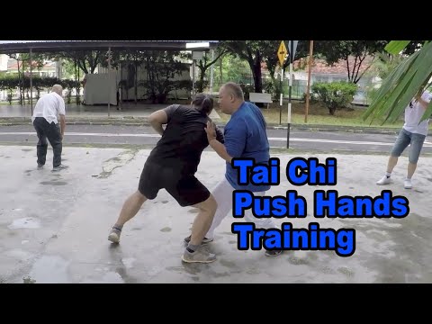 Tai Chi Push Hands Training