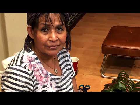 Cambodian Traditional Cake