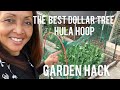 Dollar Tree Hula Hoop Garden Hack