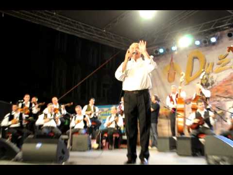 Zvonko Bogdan - Govori se da me varaš - Ančice plavčice - Seoska lola