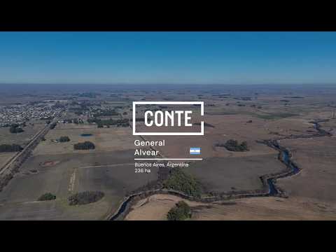 Conte - General Alvear 236 ha