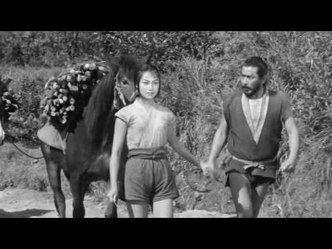 download lagu mp3 mp4 My Brilliant Career Acmi, download lagu My Brilliant Career Acmi gratis, unduh video klip My Brilliant Career Acmi