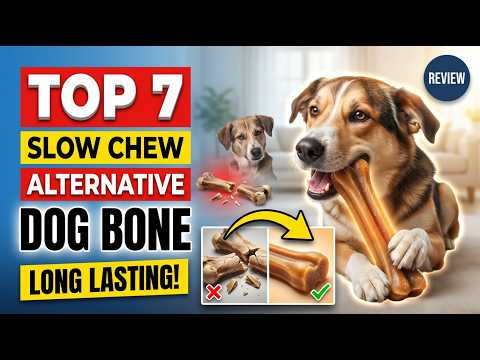 Top 7 best slow chew dog bone alternative review (Exclusive) safer chewing guide 2026