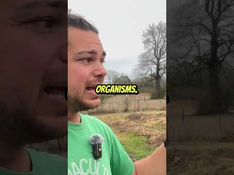 Plant Nutrient Uptake: How They Feed & Thrive