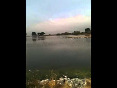 sSsR8M: Arcata Marsh and Wildlife Sanctuary