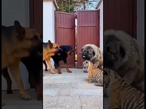 Что, теперь ты перестал говорить?