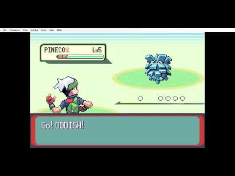 Archipelago multiworld randomiser session 4 - Pokemon Emerald