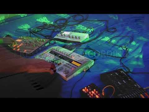 toyzmakenoize - terraformer live