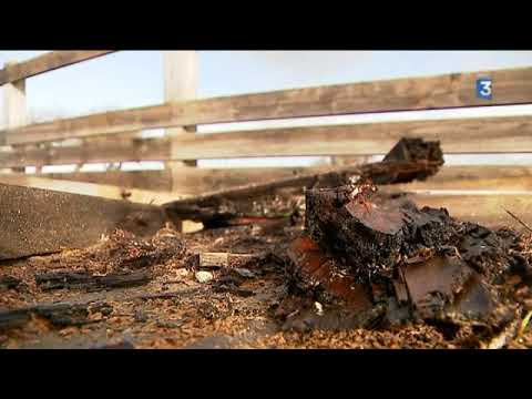 Le pont qui mène au parking de Talmont sur Gironde menace de s'effondrer