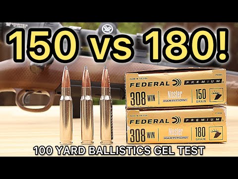 Hunting Bullets Explained | Bulls, Bullets, and Ballistics With NOSLER