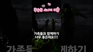 ☔수요일은 공짜?! 서울 근교 양평 당일치기 숨은 핫플 (역대급 미디어아트+소나기 분수💦)