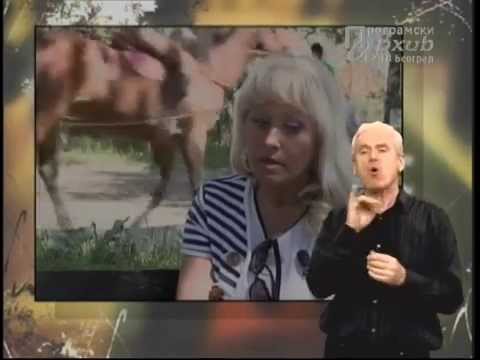 MESTO ZA NAS 068 - Odabrane teme iz 2013. godine