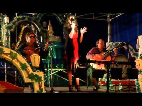 Vera Varatojo - Lisboa à Noite