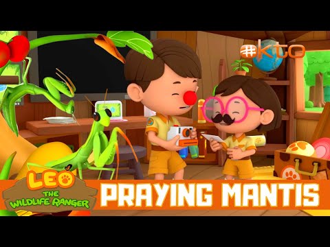 Is the PRAYING MANTIS making the plant ill? | Leo the Wildlife Ranger Spinoff S3E13 | @mediacorpokto