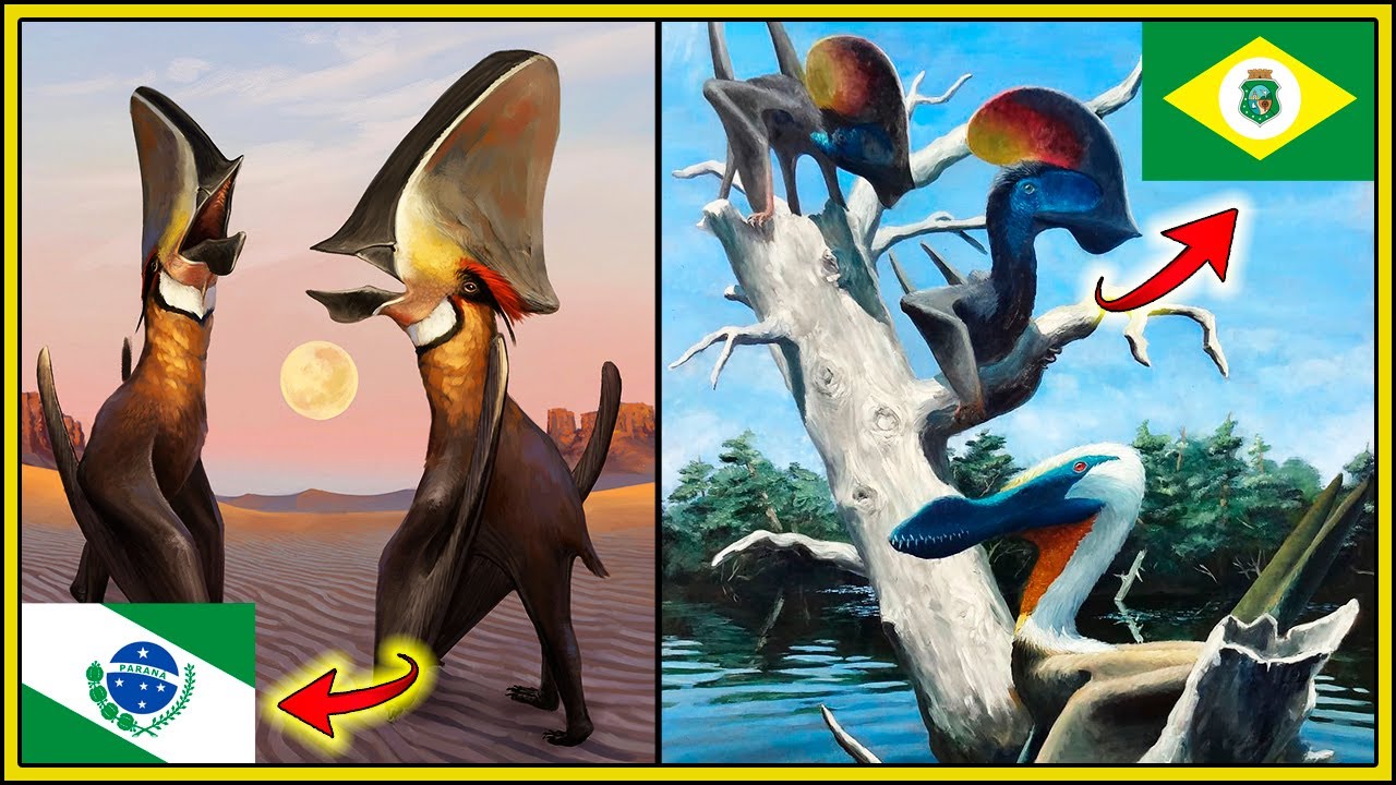 TODOS os PTEROSSAUROS BRASILEIROS já DESCOBERTOS!