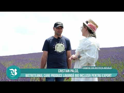 CRISTIAN PALCO, bistrițeanul care produce lavandă bio inclusiv pentru export