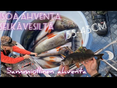 ISOA AHVENTA SELKÄVESILTÄ - KIERRELLÄÄN TALVEN PILKKIPAIKKOJA - KUVAUKSET EPÄONNISTUI JA HERMO PALAA