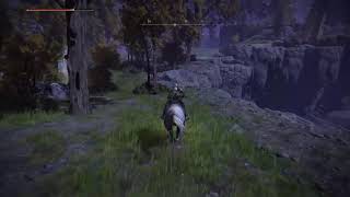 【ビーキョウの戯れ】エルデンのんびり